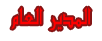 المدير العام المدير العام