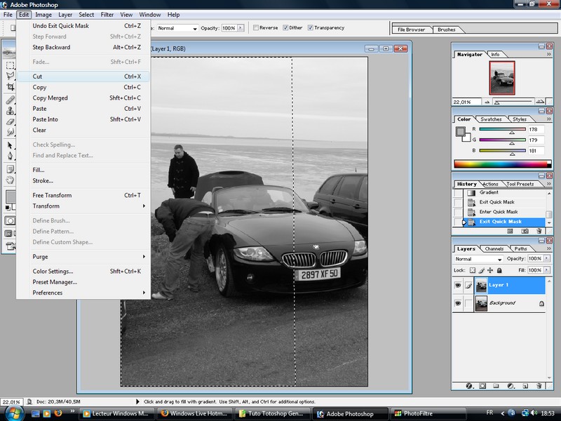 manip-16.jpg