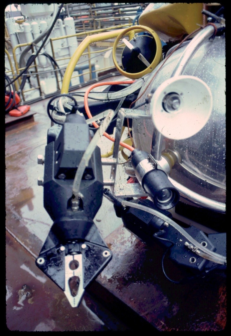 20100810.jpg