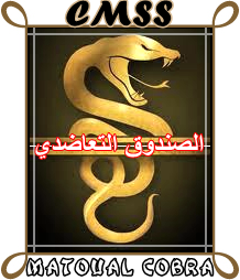 logo_c10.png